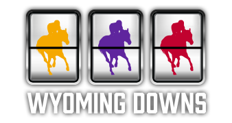 Wyoming Downs