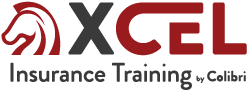 Xcel Solutions   Preparing People To Pass