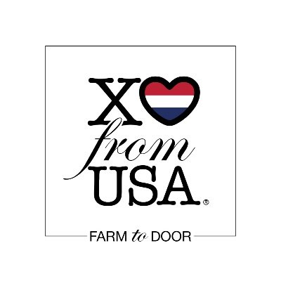 Xo From Usa, Llc