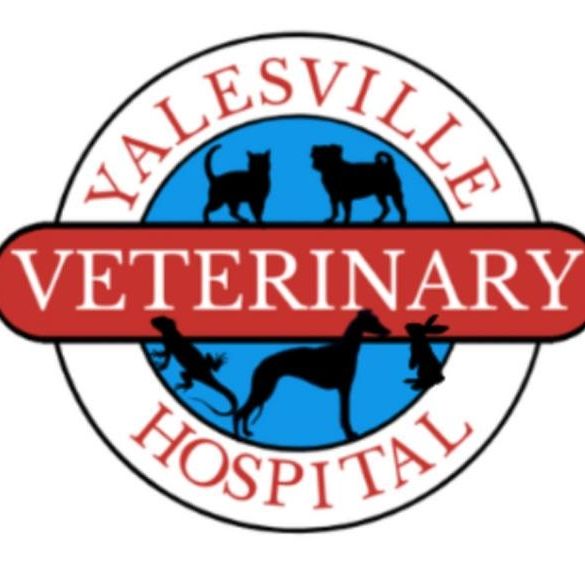 Yalesville Veterinary Hospital