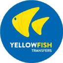 Yellow Fish Transfers