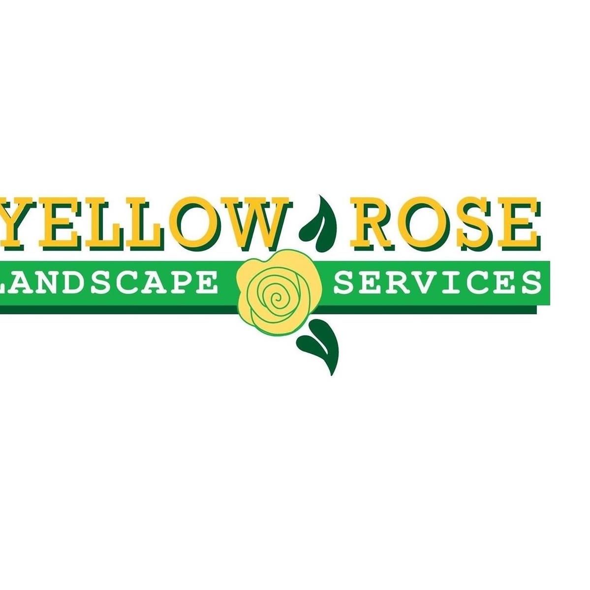 Yellow Rose Landscape