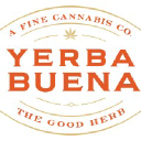 Yerba Buena