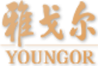 Youngor Group