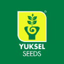 Yuksel Seeds