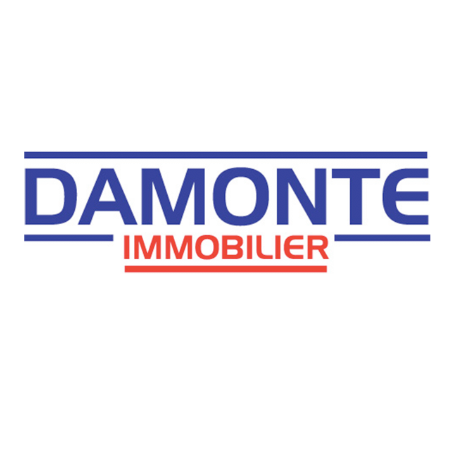 Yves Damonte Immobilier