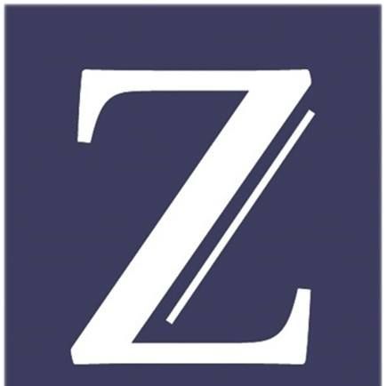 Z - Analytics Group