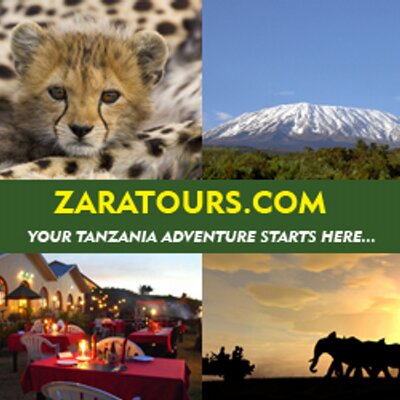 Zara Tours