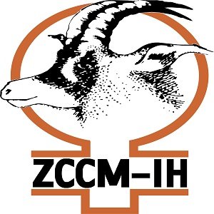 ZCCM Investments Holdings