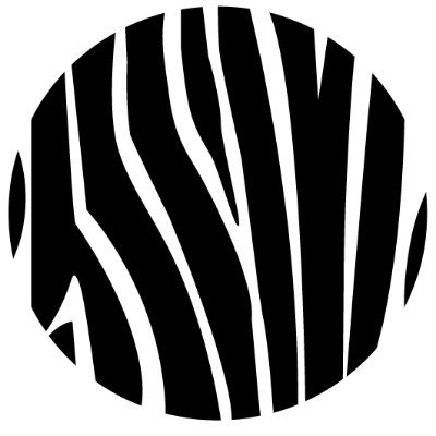 ZEBRA Consultants