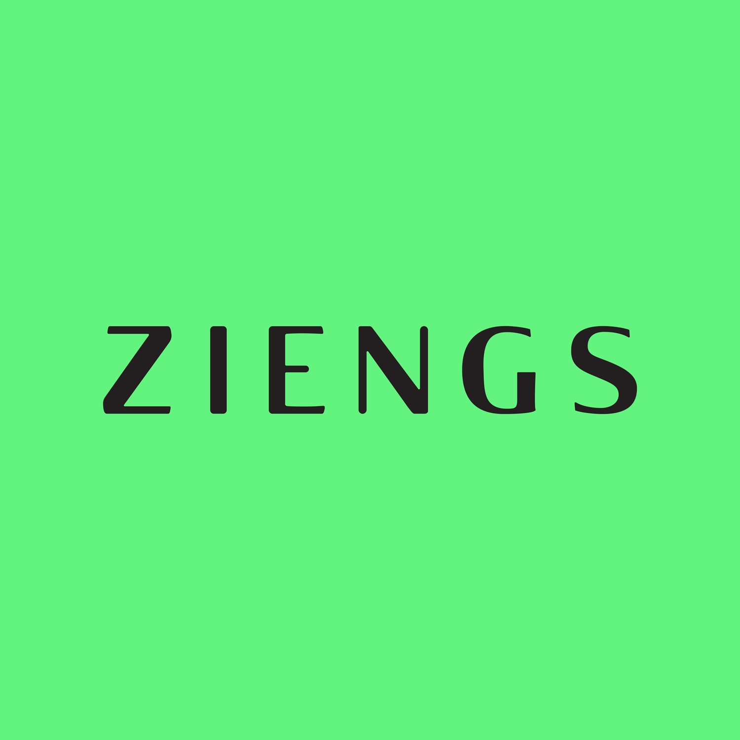 Ziengs Schoenen