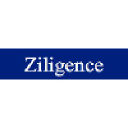 Ziligence