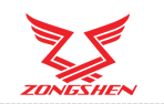 Zongshen Motor